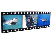 filmstrip photo montage