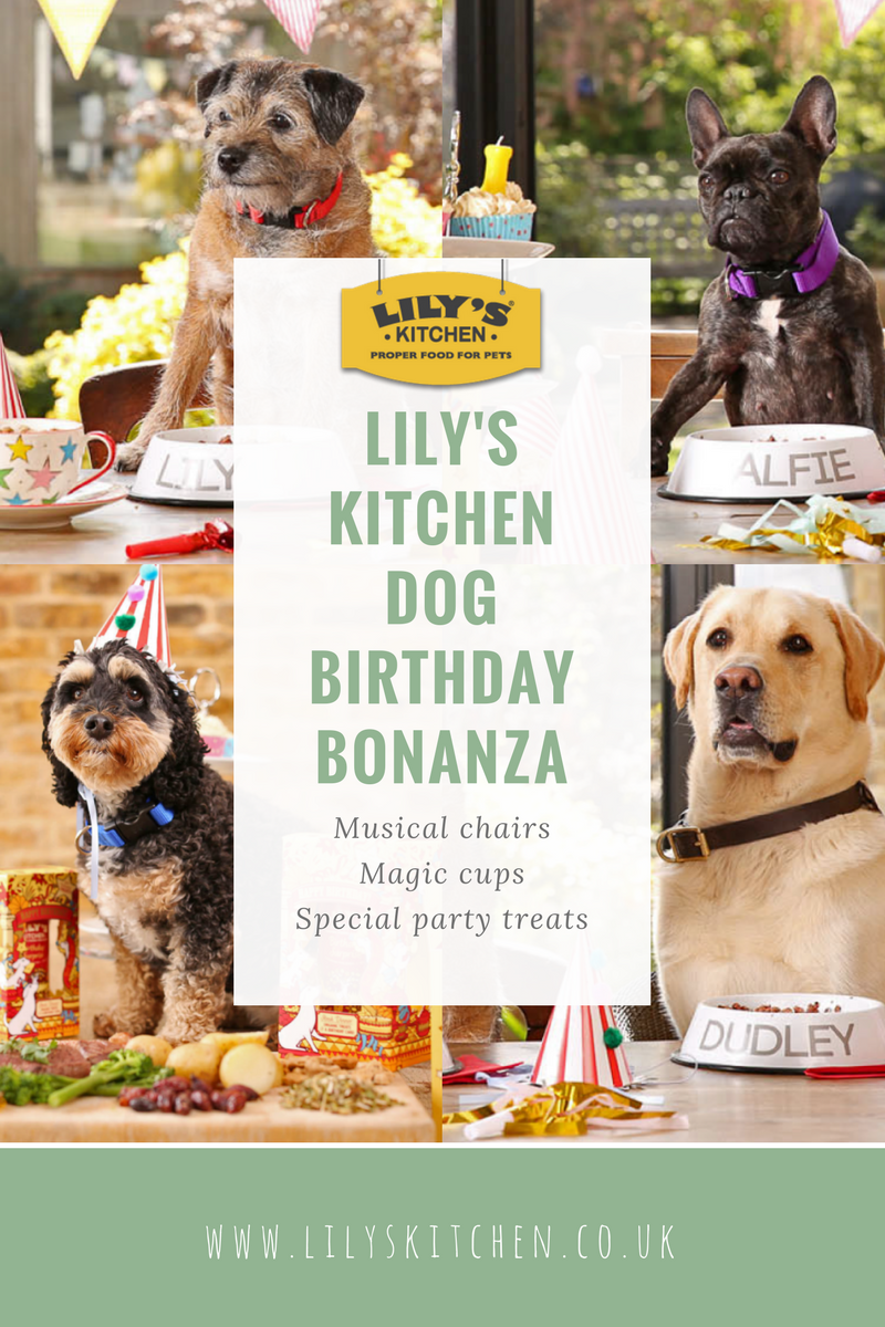 Lily's Kitchen dog birthday party