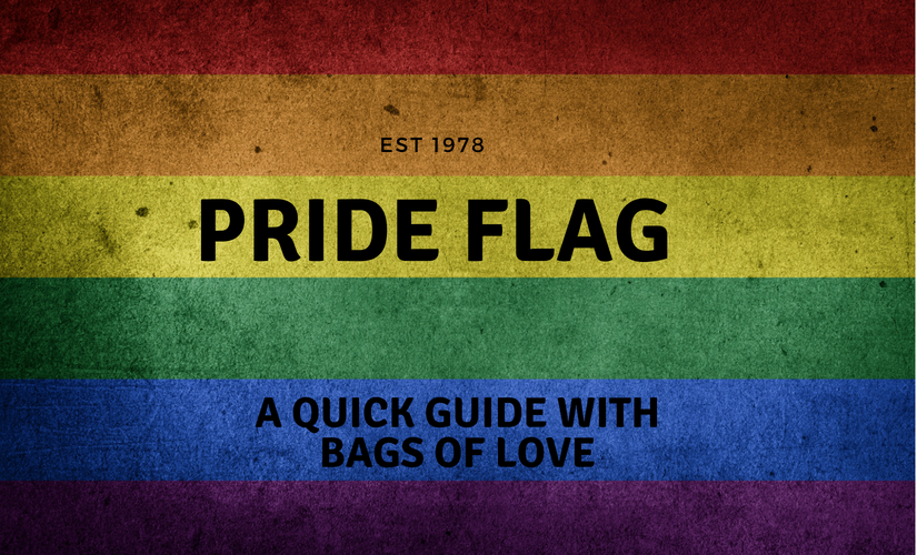 Pride Flag 101 A Quick Guide With Bags Of Love pride flag 101 a quick guide with