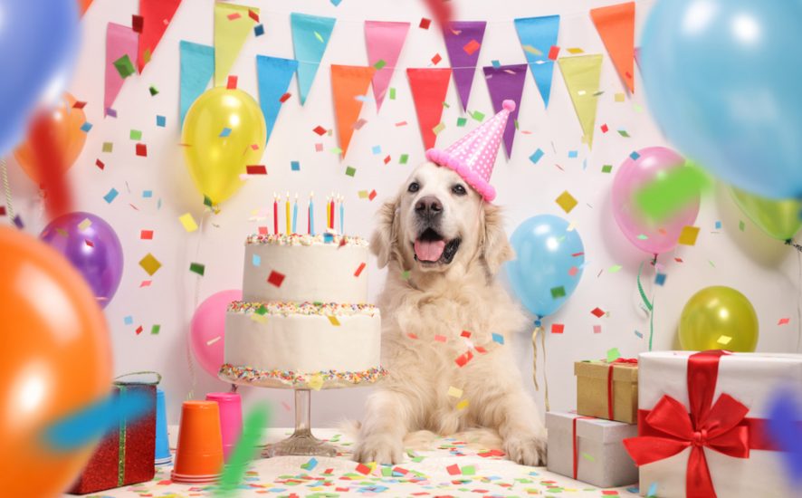 History of Birthdays: Why We Celebrate